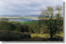 Flooding marsh, Kent UK