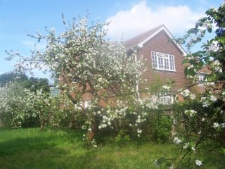 Orchard B&B - Self Contained Bed & Breakfast Accommodation, Rochester, Kent, UK
